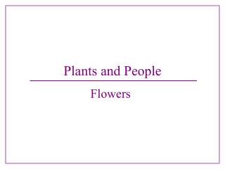 Plants and People