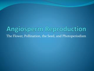 Angiosperm Reproduction