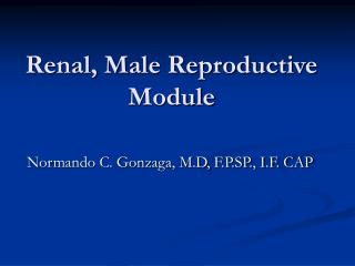 Renal, Male Reproductive Module