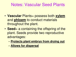 Notes: Vascular Seed Plants
