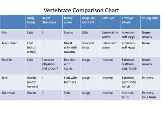 Vertebrate Comparison Chart