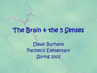 The Brain &amp; the 5 Senses