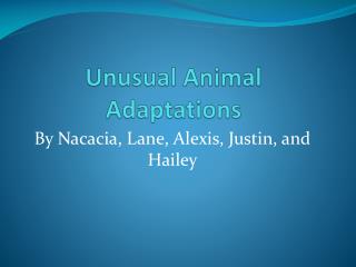 Unusual Animal Adaptations