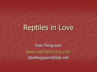 Reptiles in Love
