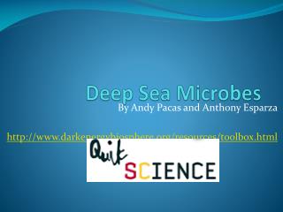 Deep Sea Microbes