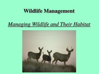 Wildlife Management Managing Wildlife and Their Habitat