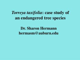 Torreya taxifolia : case study of an endangered tree species