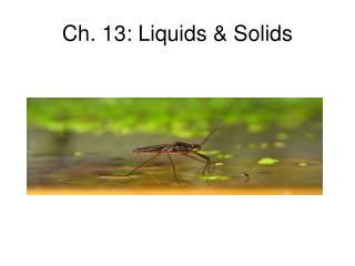 Ch. 13: Liquids &amp; Solids