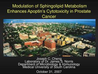 Modulation of Sphingolipid Metabolism Enhances Apoptin’s Cytotoxicity in Prostate Cancer