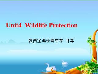 Unit4 Wildlife Protection 陕西宝鸡长岭中学 叶军
