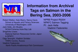 Information from Archival Tags on Salmon in the Bering Sea, 2003-2006