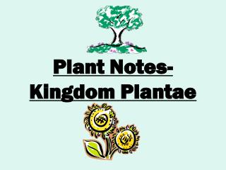 Plant Notes- Kingdom Plantae