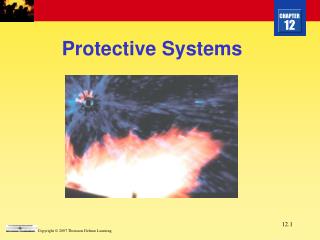 Protective Systems