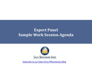 Expert Panel Sample Work Session Agenda