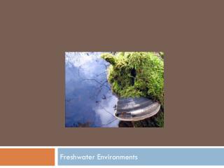 Freshwater Environments