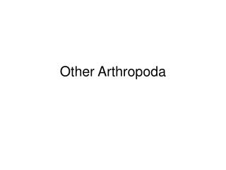 Other Arthropoda