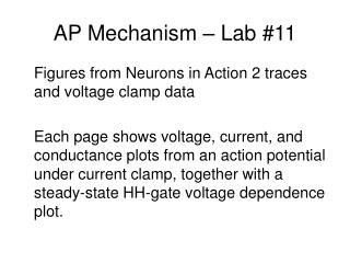 AP Mechanism – Lab #11