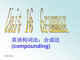 Unit 16 Grammar