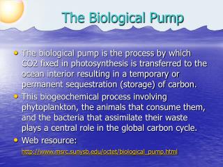 The Biological Pump