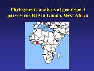 Phylogenetic analysis of genotype 3 parvovirus B19 in Ghana, West Africa