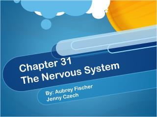 Chapter 31 The Nervous System