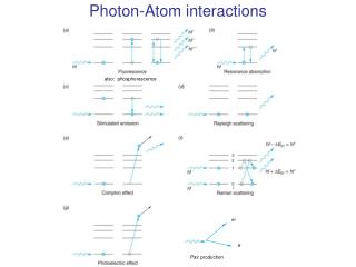 Photon-Atom interactions