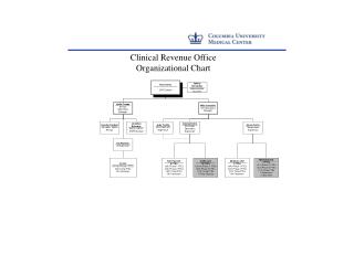 Clinical Revenue Office Organizational Chart