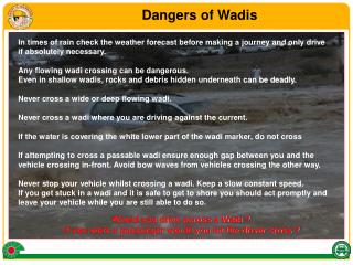Would you drive across a Wadi ? If you were a passenger would you let the driver cross ?