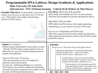 New Ideas: Molecular Self-assembly: -DNA strands self-assemble into DNA tile nanostructures .