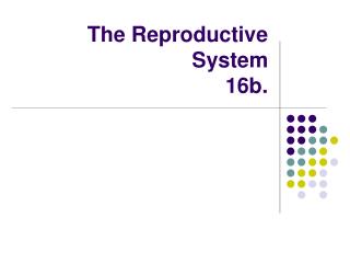 The Reproductive System 16b.