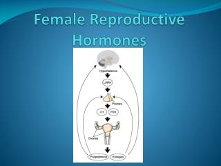 Female Reproductive Hormones