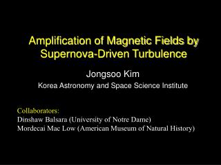 Amplification of Magnetic Fields by Supernova-Driven Turbulence