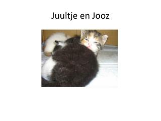 Juultje en Jooz