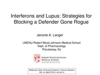 Interferons and Lupus: Strategies for Blocking a Defender Gone Rogue