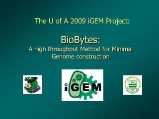 BioBytes: A high throughput Method for Minimal Genome construction