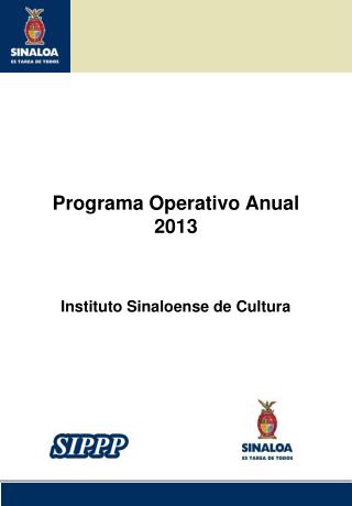 Programa Operativo Anual 2013