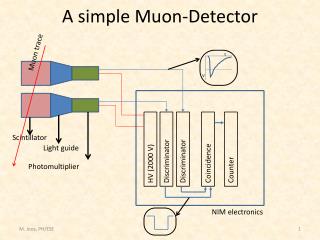 A simple Muon -Detector