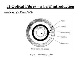 §2 Optical Fibres – a brief introduction