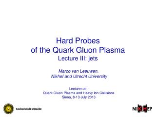 Hard Probes of the Quark Gluon Plasma Lecture III: jets