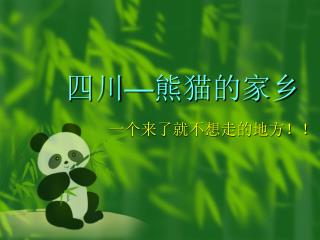 四川 — 熊猫的家乡