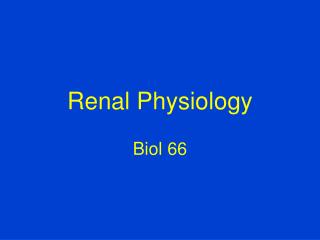 Renal Physiology