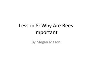 Lesson 8: Why Are Bees Important