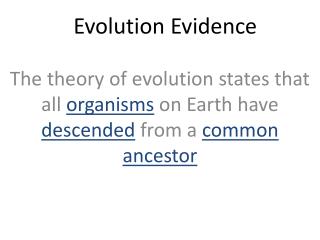 Evolution Evidence