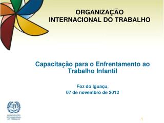 Capacitação para o Enfrentamento ao Trabalho Infantil Foz do Iguaçu, 07 de novembro de 2012