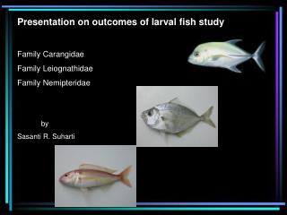 Presentation on outcomes of larval fish study Family Carangidae Family Leiognathidae