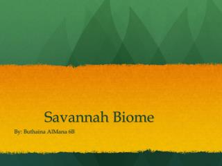 Savannah Biome