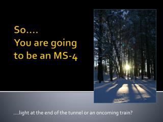 So…. You are going to be an MS-4