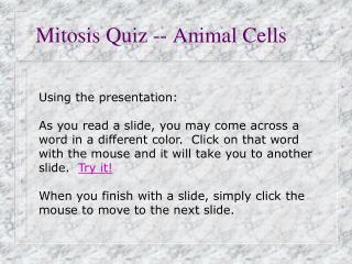 Mitosis Quiz -- Animal Cells