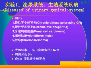 实验 11, 泌尿系统、生殖系统疾病 (Diseases of urinary,genital system)