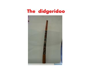 The didgeridoo